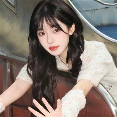 狗狗与我的十个约定